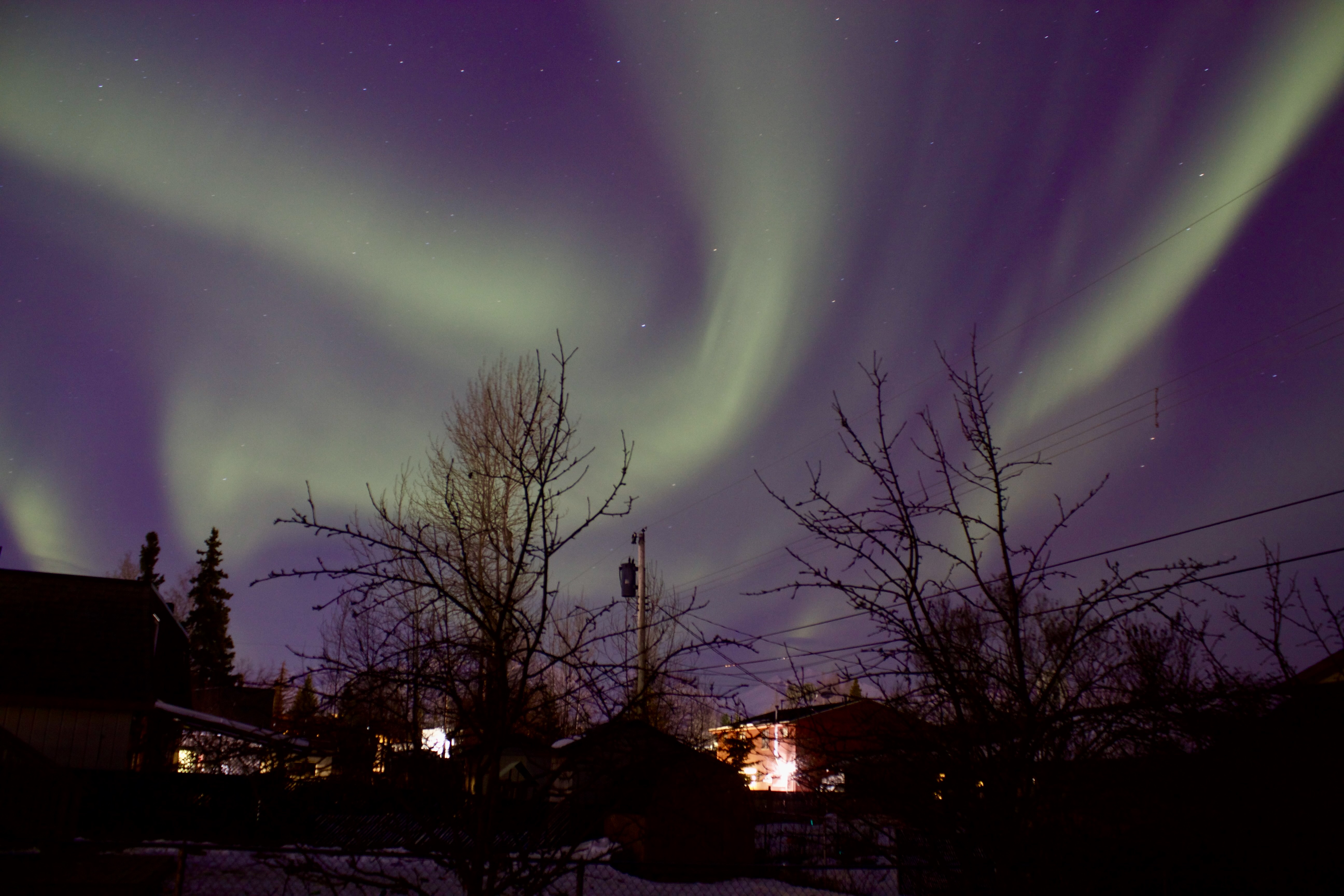 Picture of the Northern lights I took